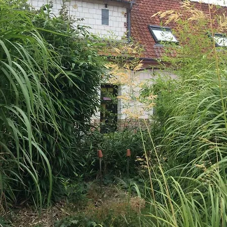 Le Clos Du Carpe Diem Cambligneul Exterior photo